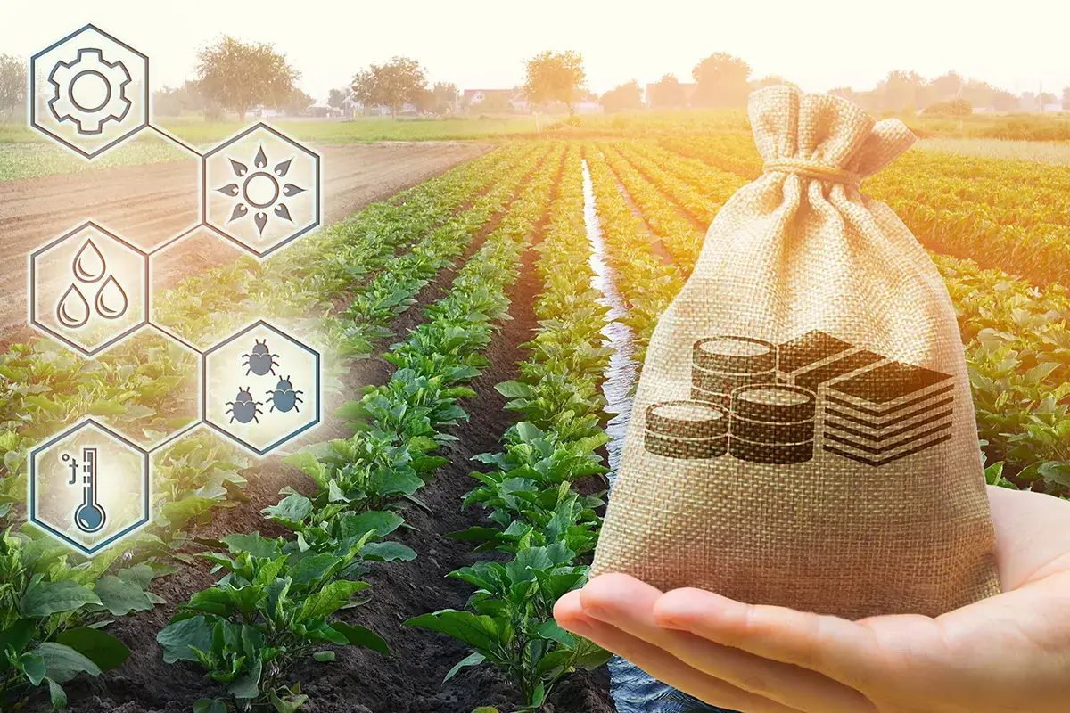 2 miliardi di euro all'agricoltura Agricoltura, 2 miliardi per il rilancio Aiuti ai lavoratori e alle donne